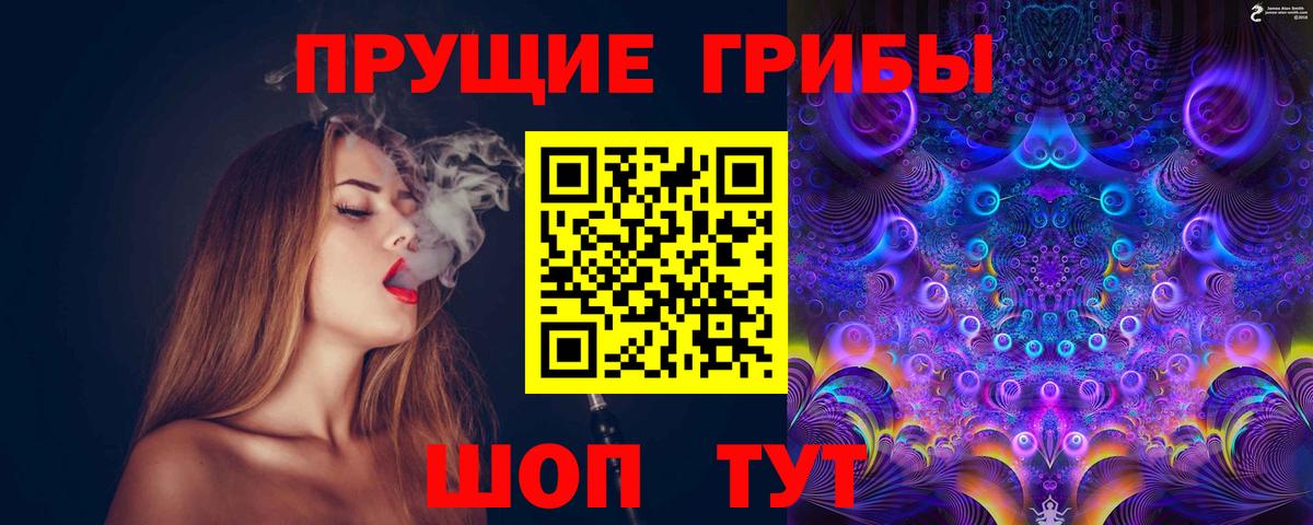 ГАШ Чайковский