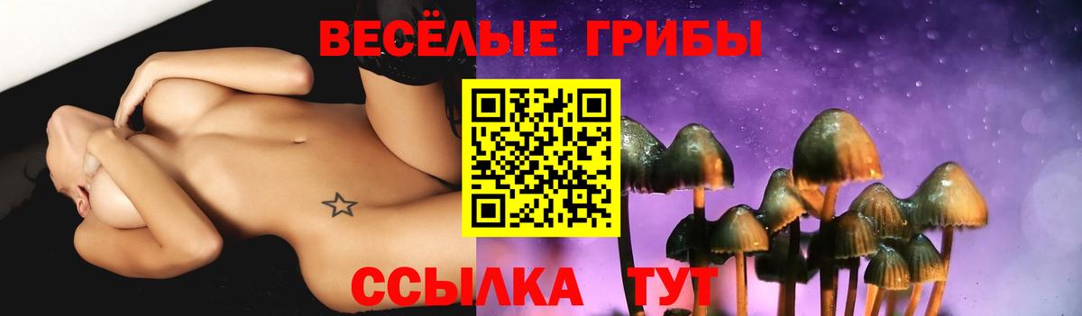 Галлюциногенные грибы прущие грибы  Галлюциногенные грибы Cubensis  Чайковский  Вход с VPN 